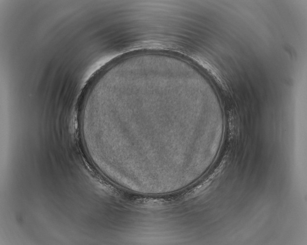 X0000112111070200909011141