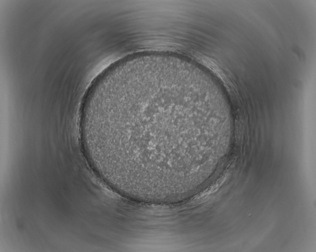 X0000112111071200909011141