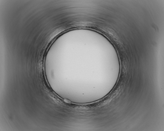 X0000112111073200909011141