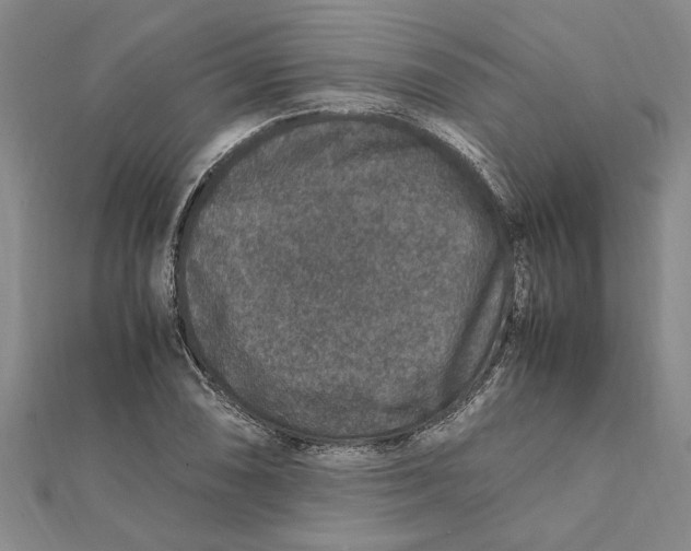 X0000112111074200909011141