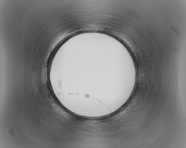 X0000112111075200909011141