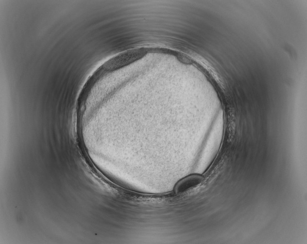 X0000112111076200909011141