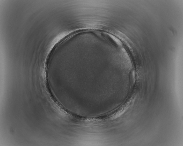 X0000112111077200909011141