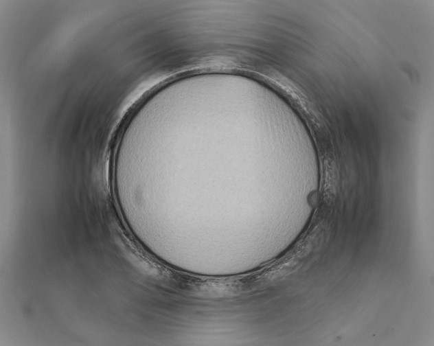X0000112111078200909011141