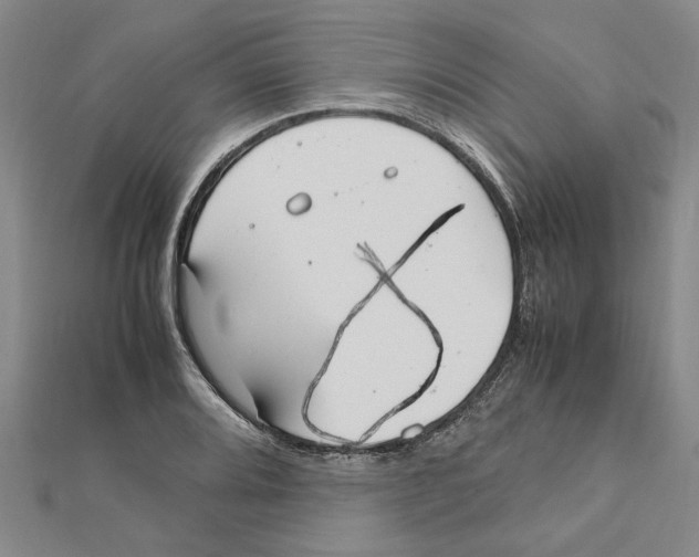 X0000112111080200909011141