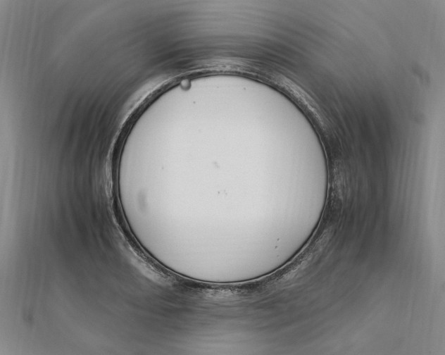 X0000112111082200909011141