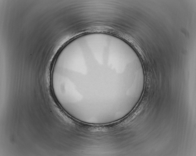 X0000112111083200909011141