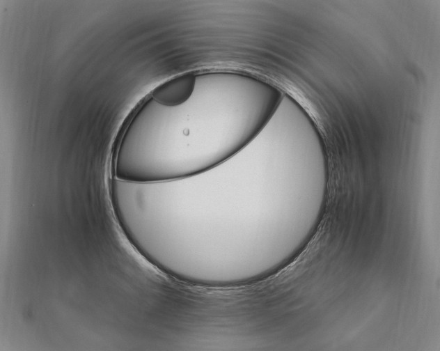 X0000112111084200909011141