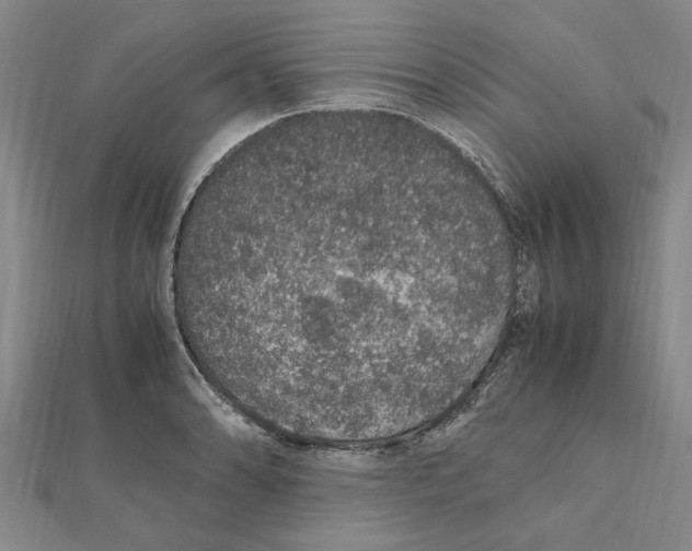 X0000112111086200909011141