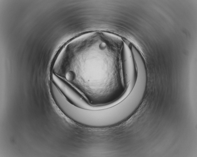 X0000112111088200909011141