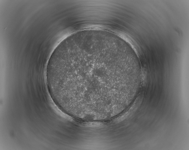 X0000112111090200909011141