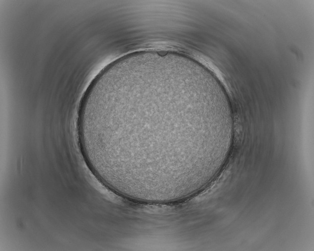 X0000112111091200909011141