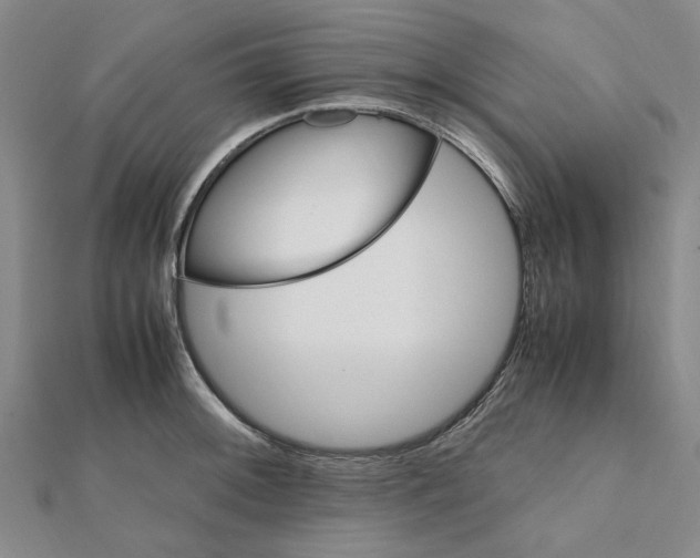 X0000112111092200909011140