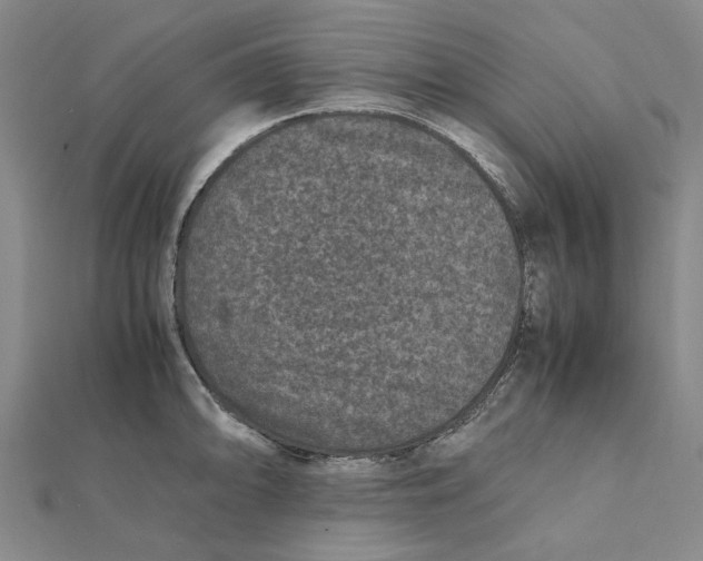 X0000112111094200909011140