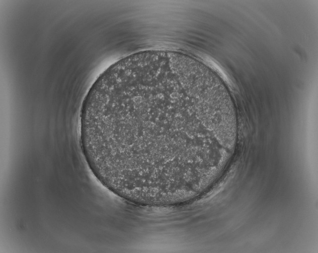 X0000112111095200909011140