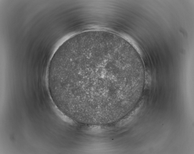 X0000112111098200909011140