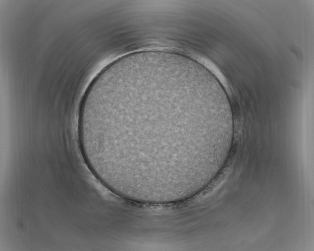 X0000112111099200909011140