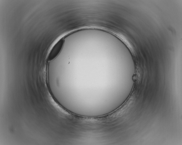 X0000112111100200909011140