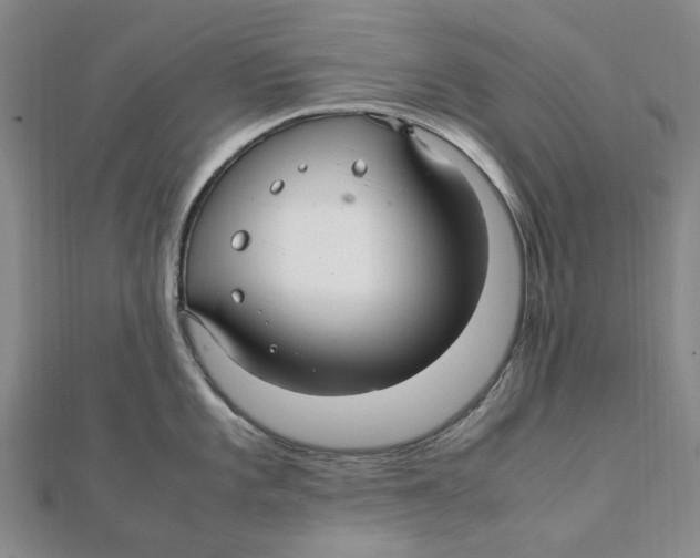 X0000112111101200909011140