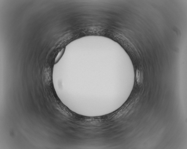 X0000112111107200909011140