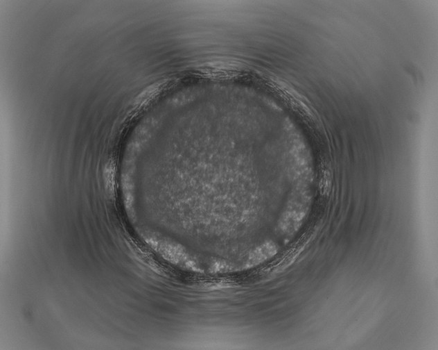 X0000112111108200909011140