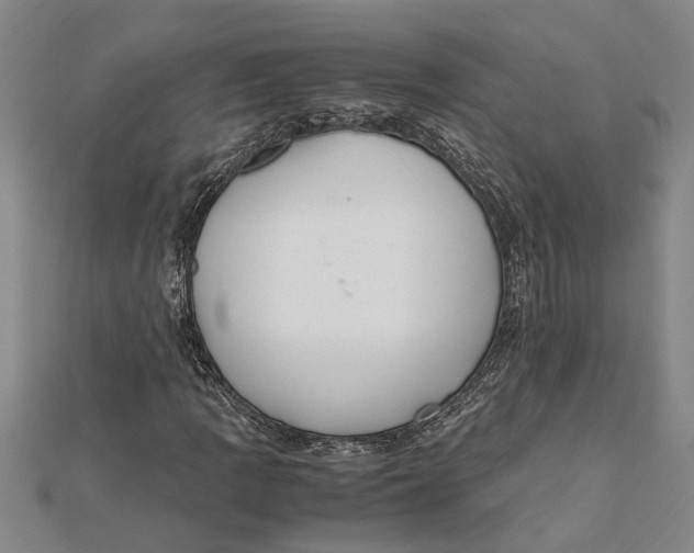 X0000112111109200909011140