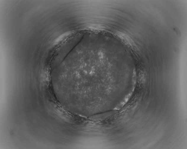 X0000112111110200909011140