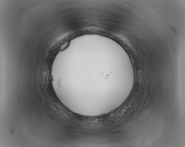 X0000112111111200909011140
