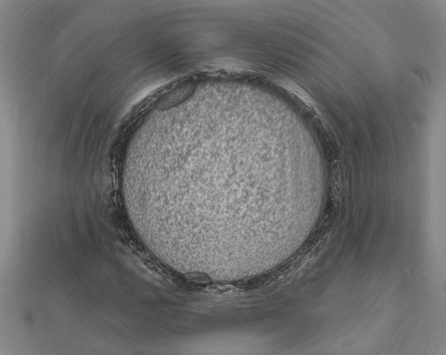 X0000112111112200909011140