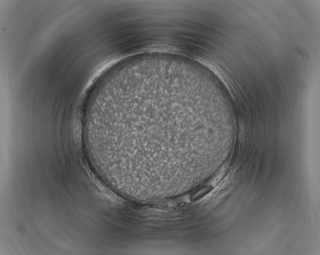 X0000112111115200909011140