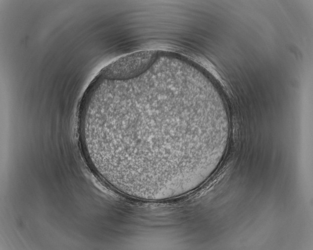 X0000112111116200909011140
