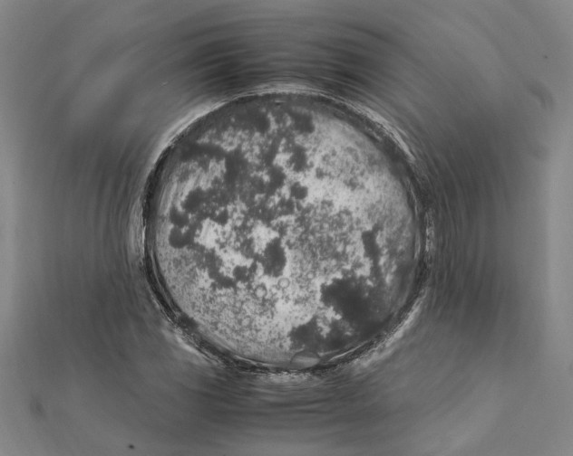X0000112111117200909011140