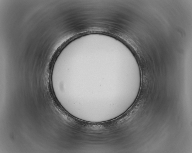 X0000112111119200909011140