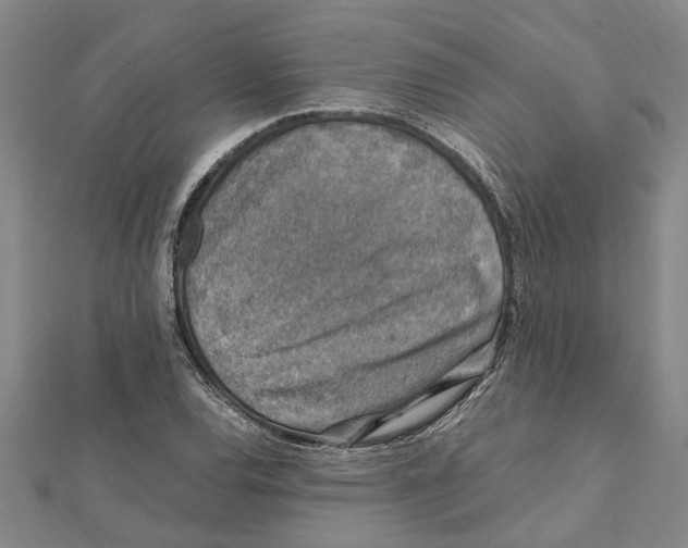 X0000112111120200909011140