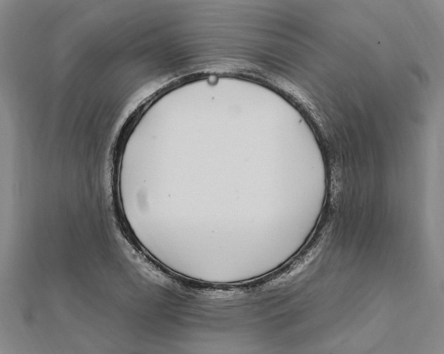 X0000112111122200909011140