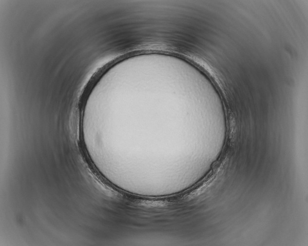X0000112111123200909011140