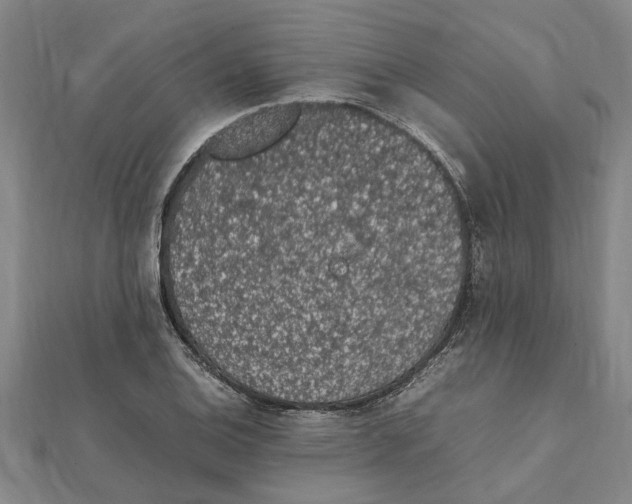 X0000112111124200909011140