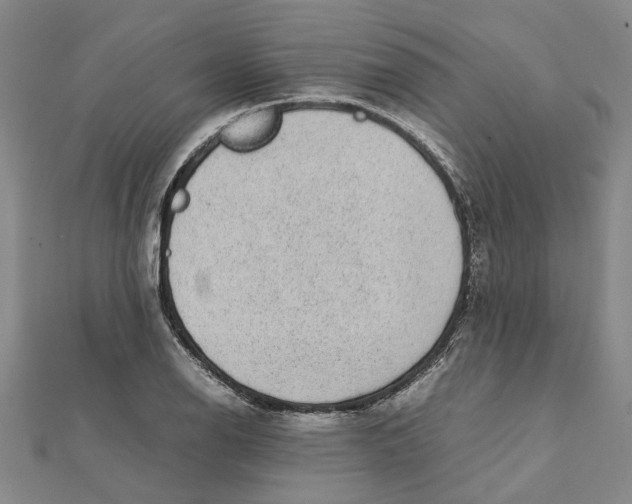 X0000112111126200909011140