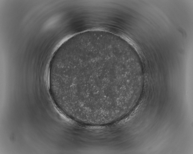 X0000112111127200909011140