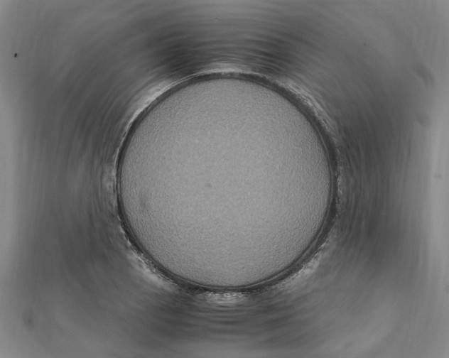 X0000112111129200909011140