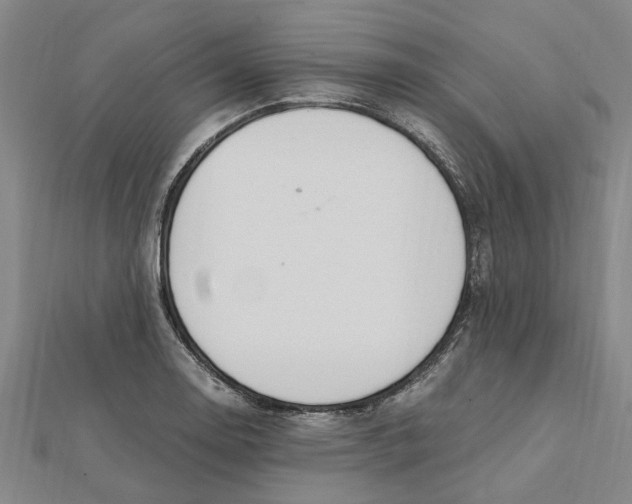 X0000112111130200909011140