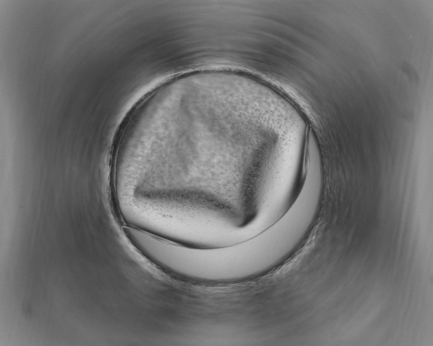 X0000112111134200909011140