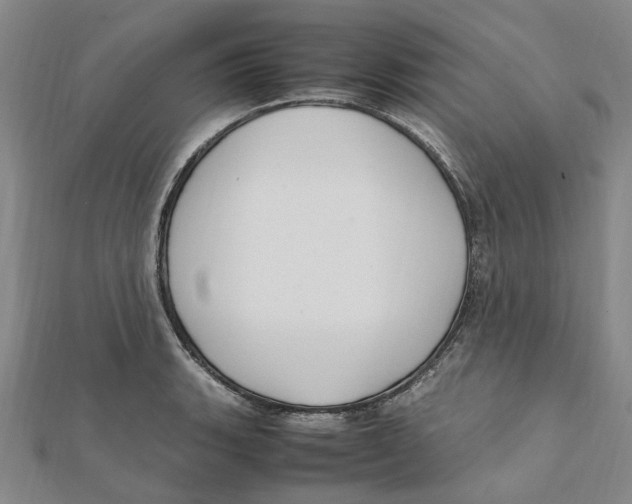X0000112111135200909011140