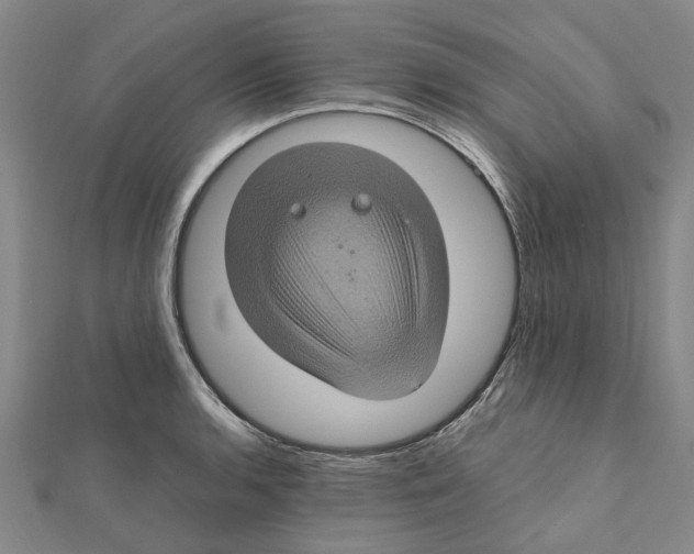 X0000112111136200909011140