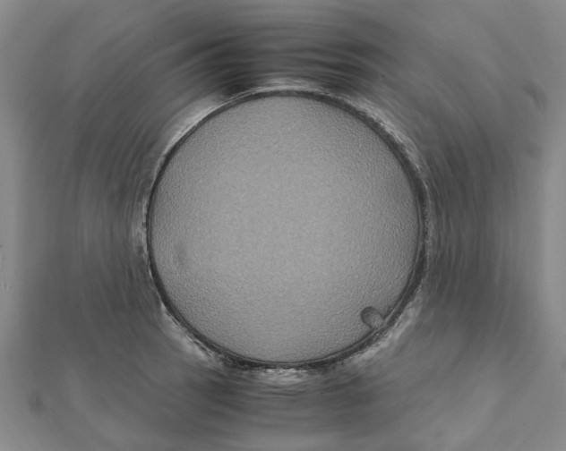 X0000112111137200909011140