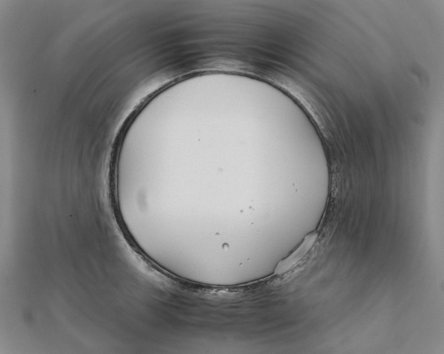 X0000112111139200909011140