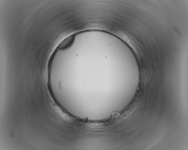 X0000112111140200909011140