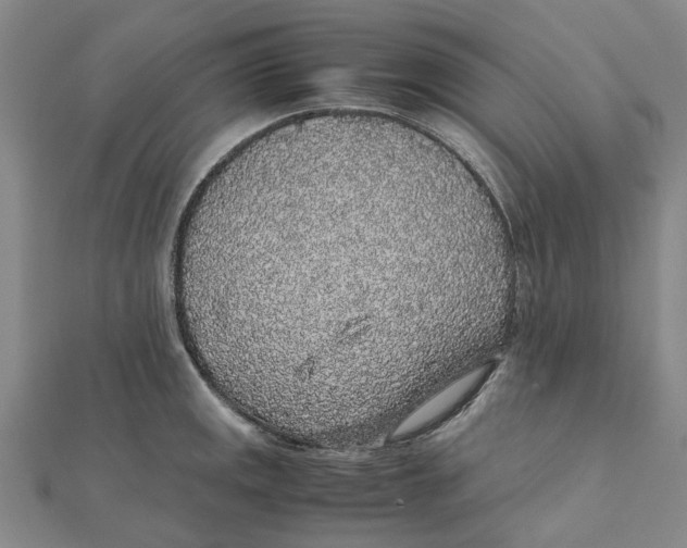 X0000112111141200909011140