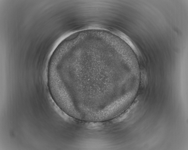 X0000112111148200909011140