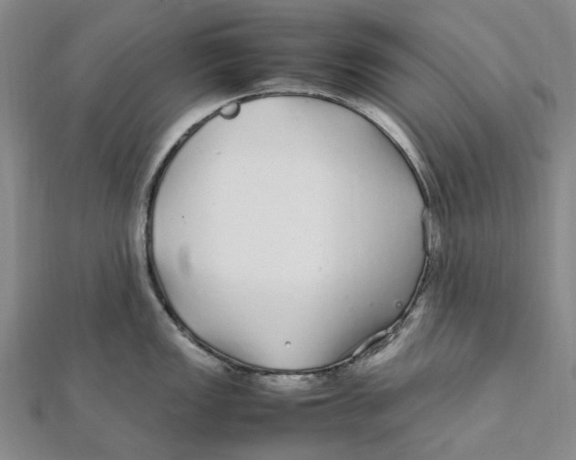 X0000112111149200909011140